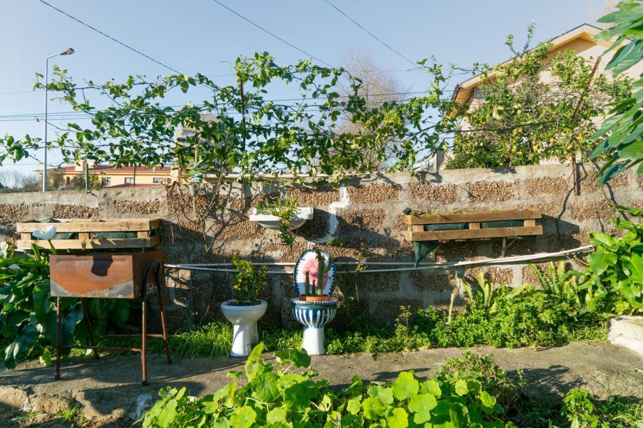 Growth House Bed & Breakfast Porto Exterior photo
