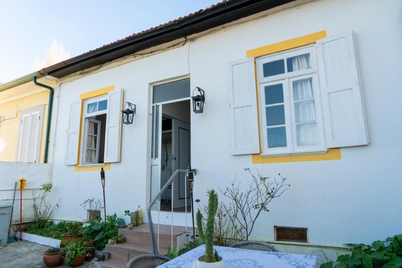 Growth House Bed & Breakfast Porto Exterior photo