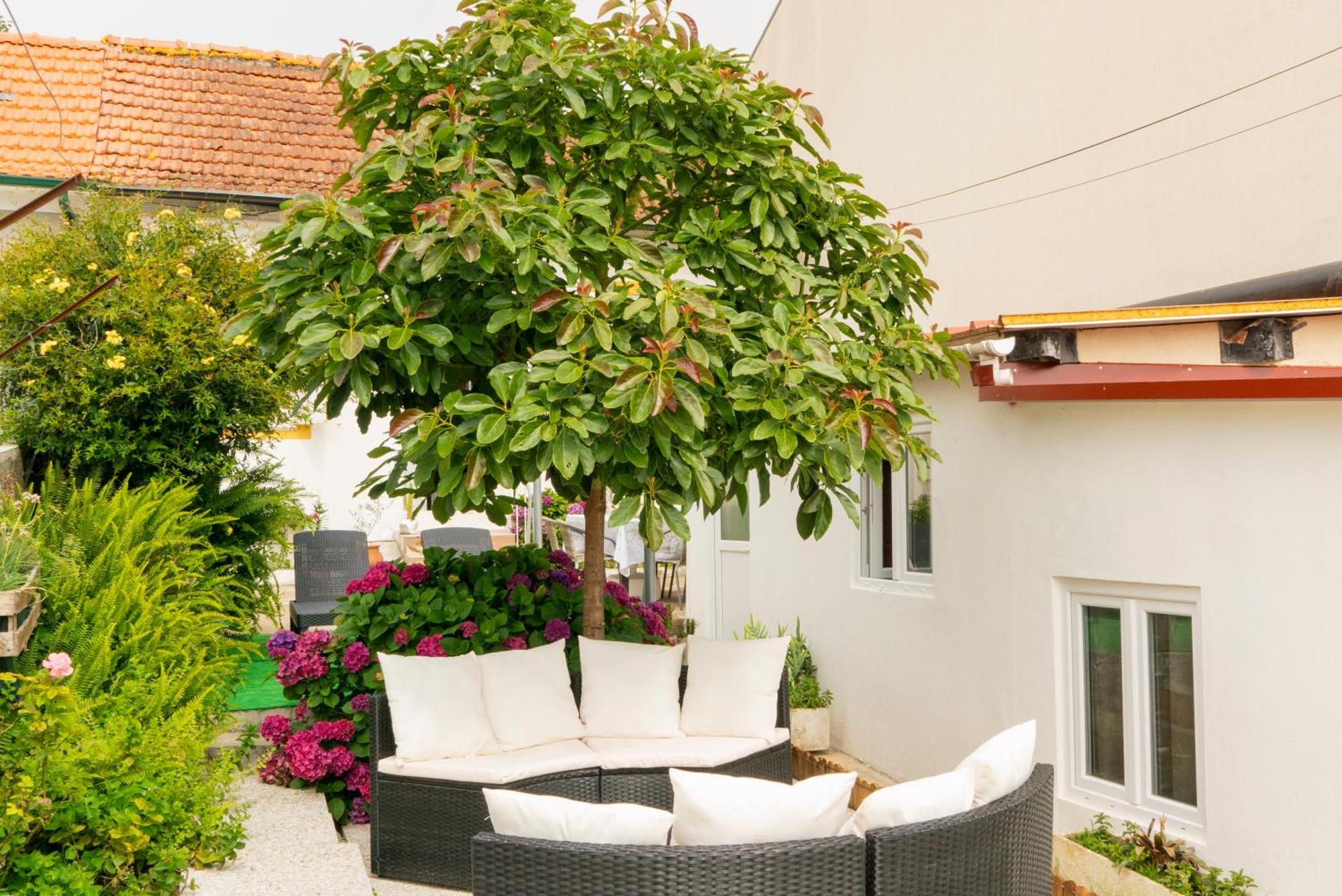 Growth House Bed & Breakfast Porto Exterior photo